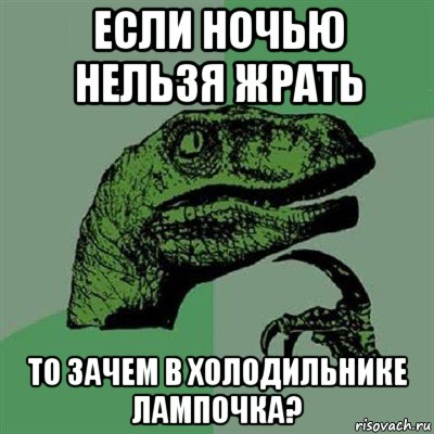 если ночью нельзя жрать то зачем в холодильнике лампочка?, Мем Филосораптор