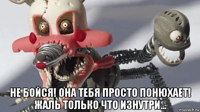  не бойся! она тебя просто понюхает! жаль только что изнутри...