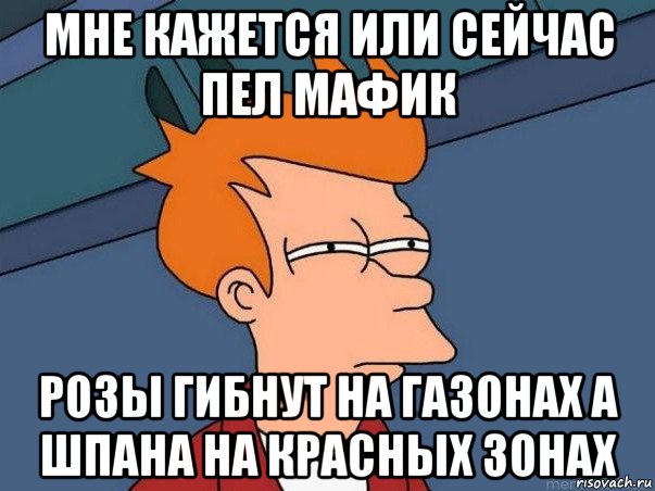 мне кажется или сейчас пел мафик розы гибнут на газонах а шпана на красных зонах, Мем  Фрай (мне кажется или)