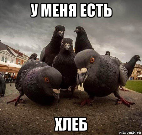 у меня есть хлеб