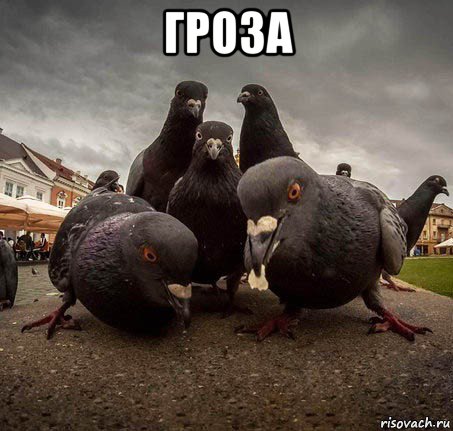 гроза 