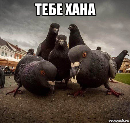 тебе хана 