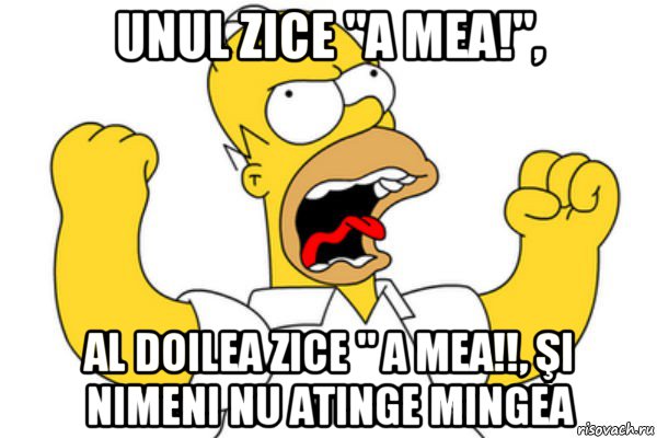 unul zice "a mea!", al doilea zice " a mea!!, şi nimeni nu atinge mingea, Мем Разъяренный Гомер