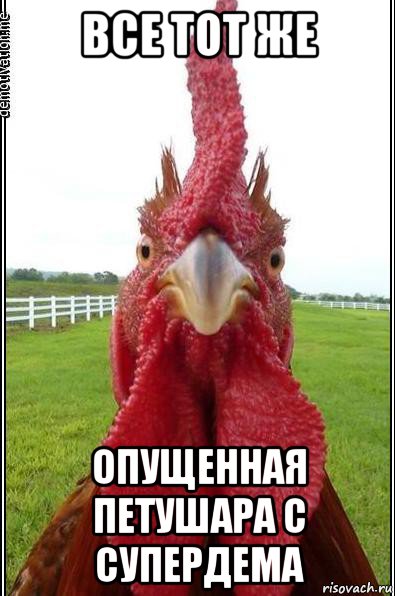 все тот же опущенная петушара с супердема