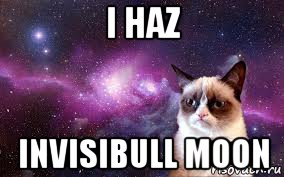 i haz invisibull moon, Мем grumpy cat space