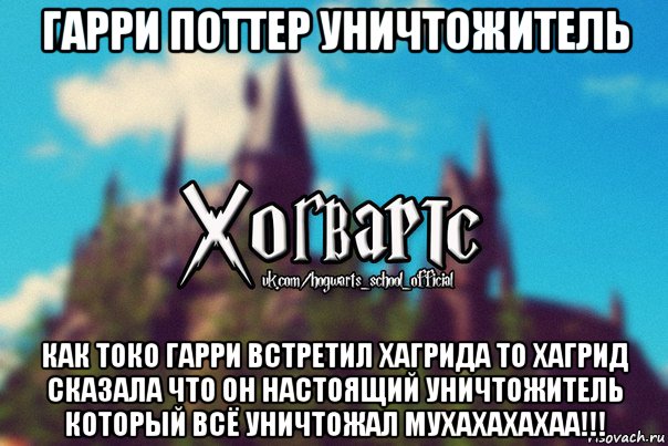 гарри поттер уничтожитель как токо гарри встретил хагрида то хагрид сказала что он настоящий уничтожитель который всё уничтожал мухахахахаа!!!, Мем Хогвартс