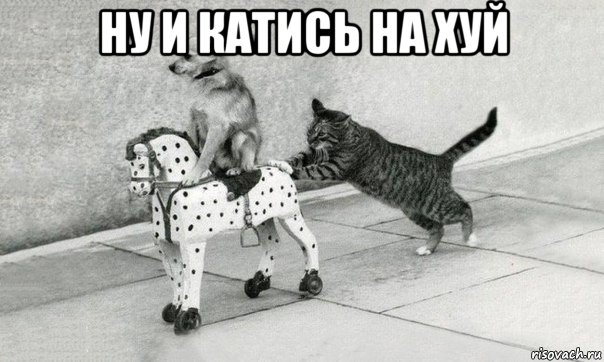 ну и катись на хуй 
