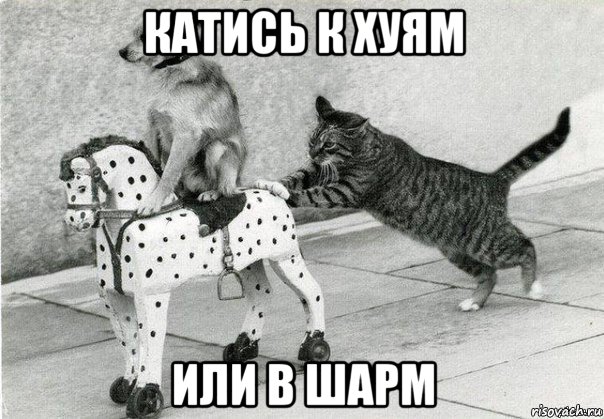 катись к хуям или в шарм
