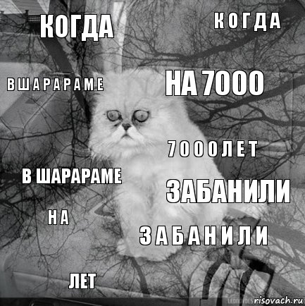 когда забанили на 7000 лет в шарараме к о г д а з а б а н и л и в ш а р а р а м е н а 7 0 0 0 л е т, Комикс  кот безысходность