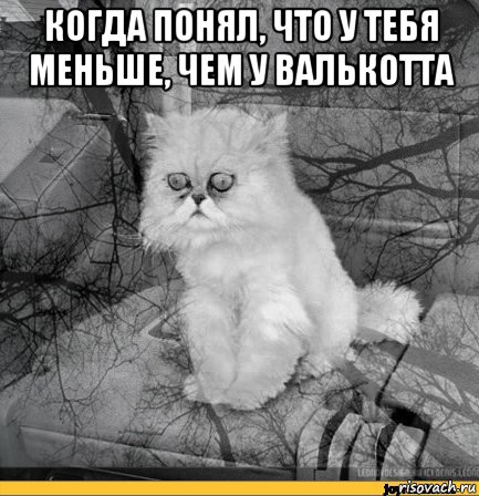 когда понял, что у тебя меньше, чем у валькотта 
