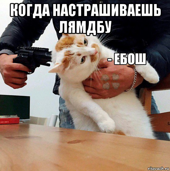 когда настрашиваешь лямдбу , Мем  Кот ЕБОШ