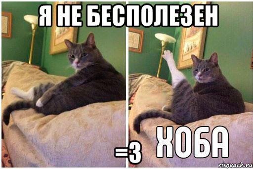 я не бесполезен =3