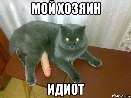 мой хозяин идиот