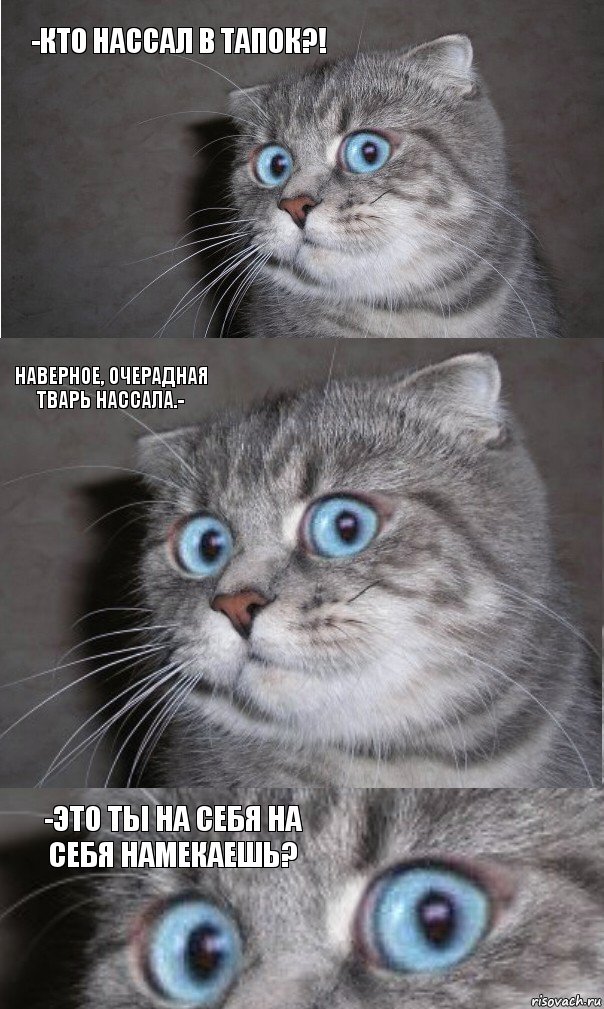 -КТО НАССАЛ В ТАПОК?! НАВЕРНОЕ, ОЧЕРАДНАЯ ТВАРЬ НАССАЛА.- -ЭТО ТЫ НА СЕБЯ НА СЕБЯ НАМЕКАЕШЬ?, Комикс  котейка