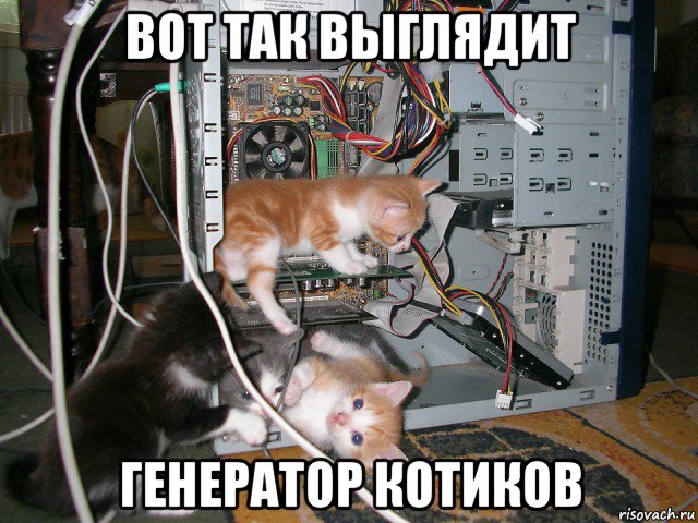 вот так выглядит генератор котиков