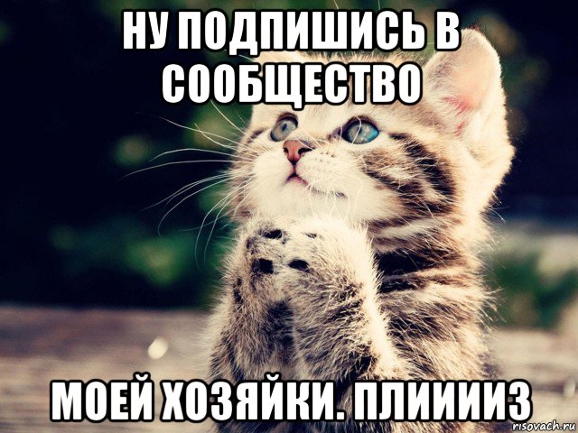 ну подпишись в сообщество моей хозяйки. плииииз