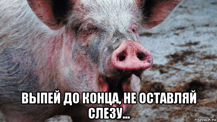  выпей до конца, не оставляй слезу...