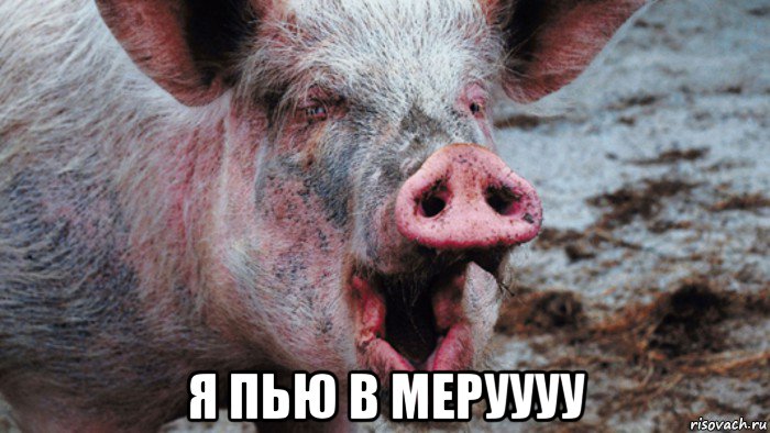  я пью в меруууу