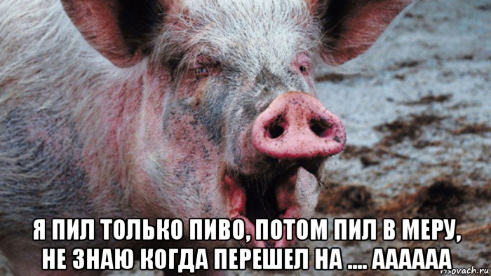  я пил только пиво, потом пил в меру, не знаю когда перешел на .... аааааа
