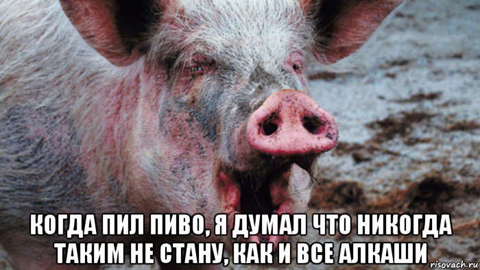  когда пил пиво, я думал что никогда таким не стану, как и все алкаши