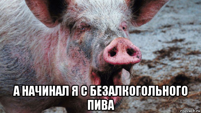  а начинал я с безалкогольного пива