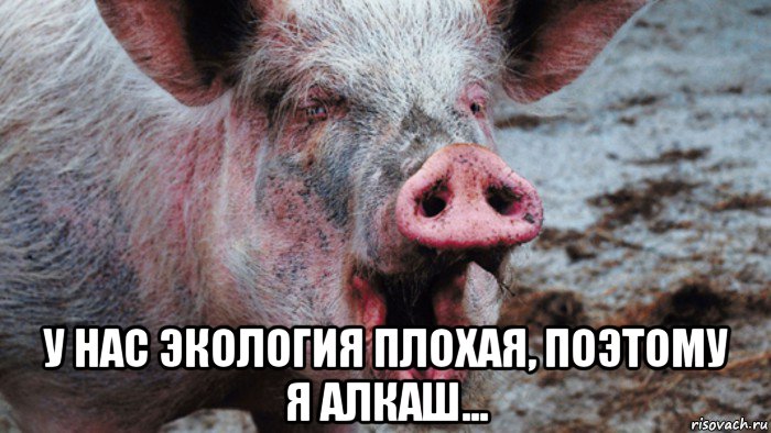  у нас экология плохая, поэтому я алкаш...