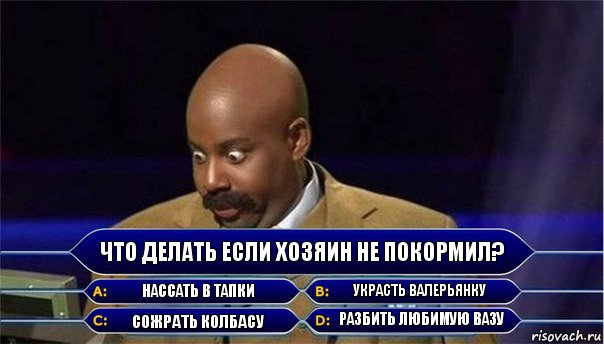 Что делать если хозяин не покормил? Нассать в тапки Украсть валерьянку Сожрать колбасу Разбить любимую вазу, Комикс      Кто хочет стать миллионером