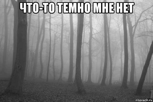 что-то темно мне нет , Мем лес