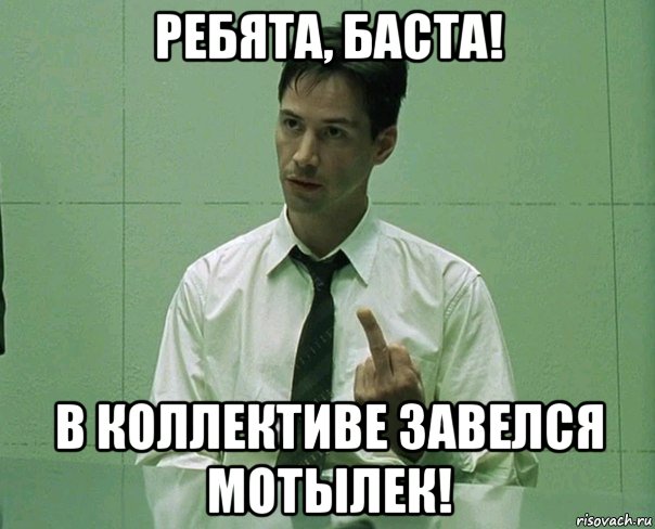 ребята, баста! в коллективе завелся мотылек!