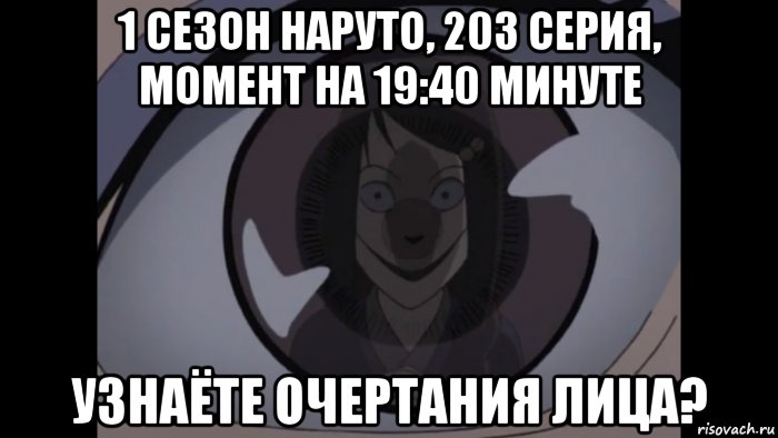 1 сезон наруто, 203 серия, момент на 19:40 минуте узнаёте очертания лица?