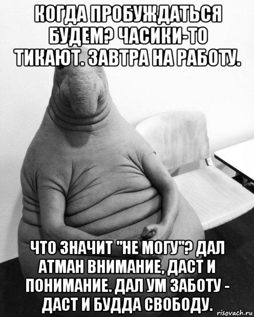 когда пробуждаться будем? часики-то тикают. завтра на работу. что значит "не могу"? дал атман внимание, даст и понимание. дал ум заботу - даст и будда свободу.