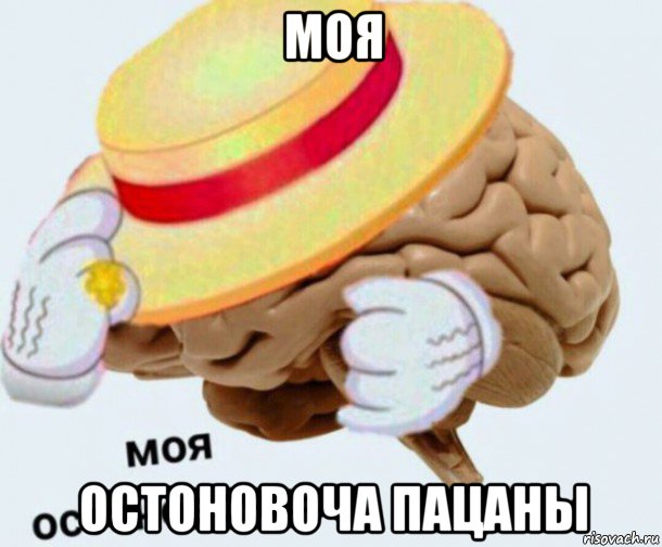 моя остоновоча пацаны, Мем   Моя остановочка мозг