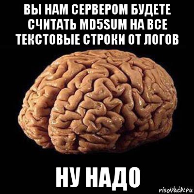 вы нам сервером будете считать md5sum на все текстовые строки от логов ну надо, Мем мозг