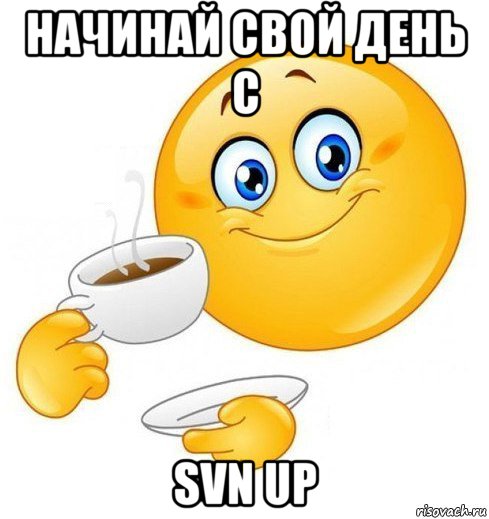 начинай свой день с svn up