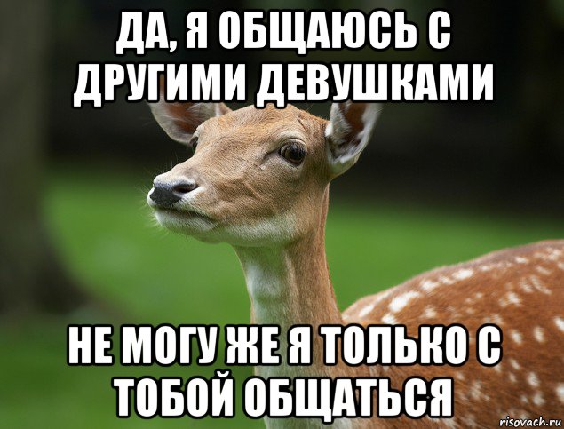 да, я общаюсь с другими девушками не могу же я только с тобой общаться