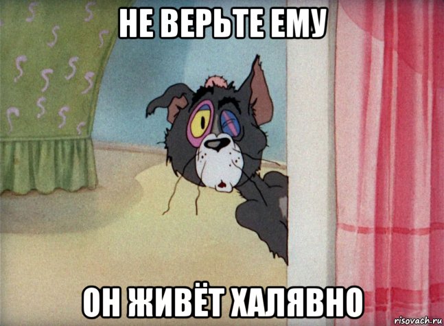 не верьте ему он живёт халявно, Мем Не верьте ему из мультфильма Том и Джерри 1940-1958