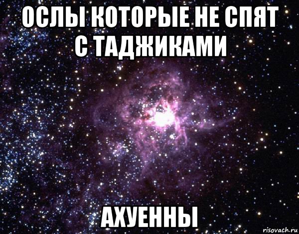 ослы которые не спят с таджиками ахуенны