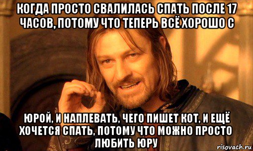 когда просто свалилась спать после 17 часов, потому что теперь всё хорошо с юрой, и наплевать, чего пишет кот, и ещё хочется спать, потому что можно просто любить юру, Мем Нельзя просто так взять и (Боромир мем)