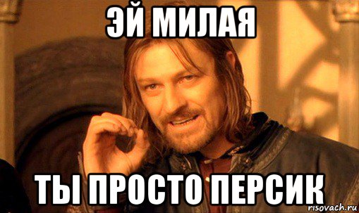 эй милая ты просто персик, Мем Нельзя просто так взять и (Боромир мем)