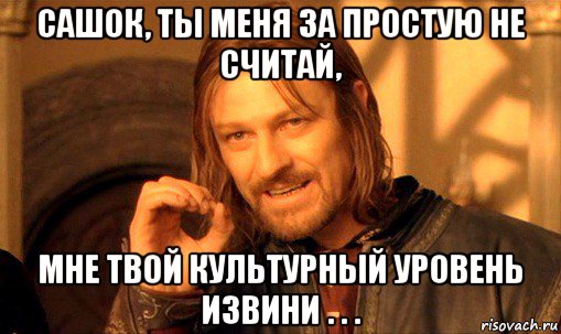 сашок, ты меня за простую не считай, мне твой культурный уровень извини . . ., Мем Нельзя просто так взять и (Боромир мем)