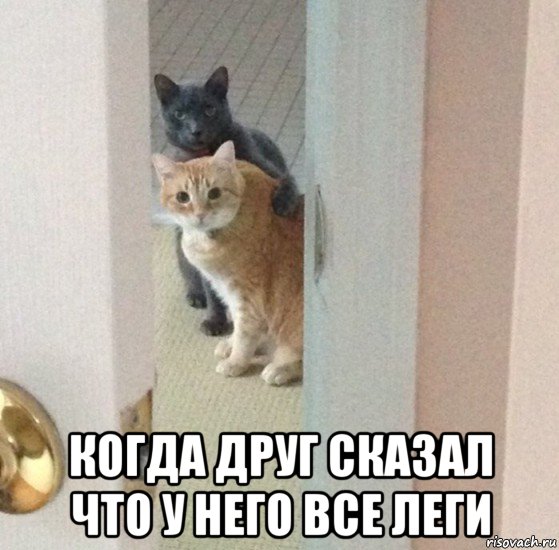  когда друг сказал что у него все леги, Мем Никита Петров нахуярил этот мем