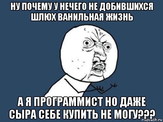 ну почему у нечего не добившихся шлюх ванильная жизнь а я программист но даже сыра себе купить не могу???, Мем Ну почему