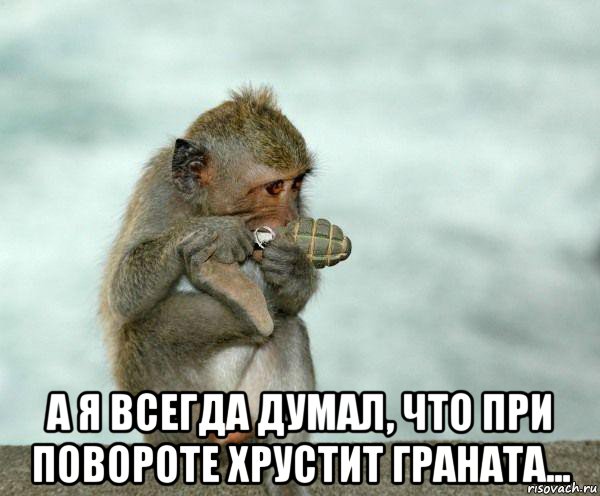  а я всегда думал, что при повороте хрустит граната..., Мем Обезьяна с гранатой