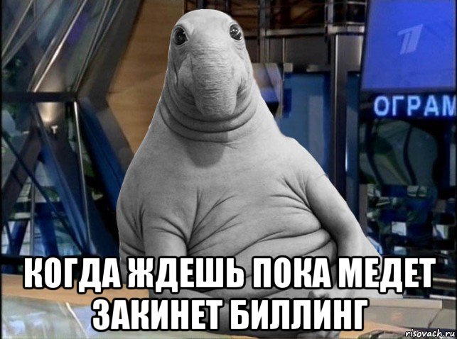  когда ждешь пока медет закинет биллинг