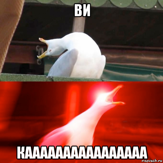 ви каааааааааааааааа