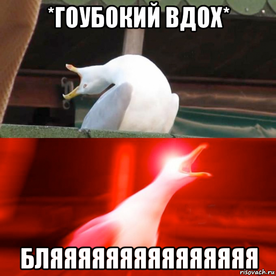 *гоубокий вдох* бляяяяяяяяяяяяяяя