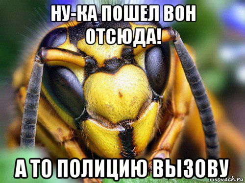 ну-ка пошел вон отсюда! а то полицию вызову