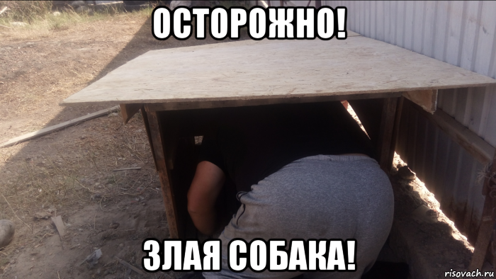 осторожно! злая собака!, Мем Осторожно злая собака