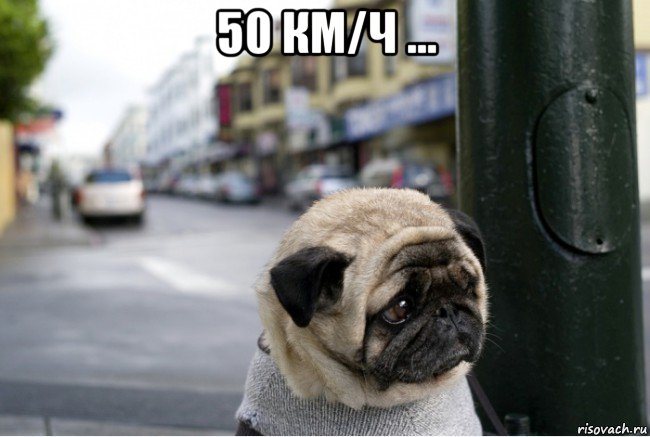 50 км/ч ... 