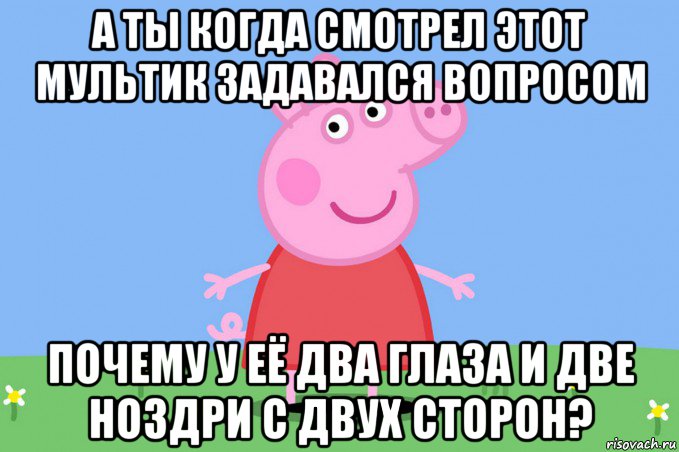 а ты когда смотрел этот мультик задавался вопросом почему у её два глаза и две ноздри с двух сторон?, Мем Пеппа